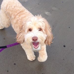 Meet your Posher, Christin